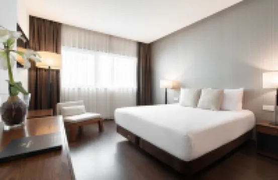 維哥馬爾德歐洲之星飯店