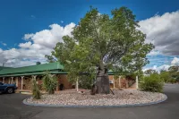 Overlander Homestead Motel Hotels in Roma