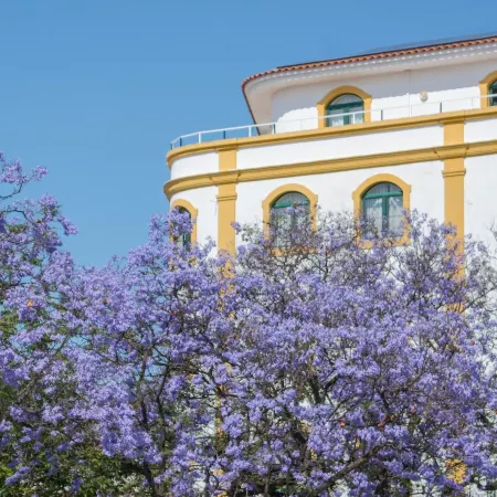 Loule Jardim Hotel