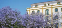Loule Jardim Hotel Hotels in São Sebastião