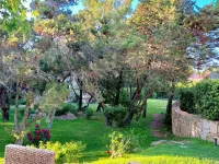 Green Park Hotel Hotels near Romazzino Beach