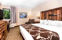 배스 프로 숍 앵글러 로지