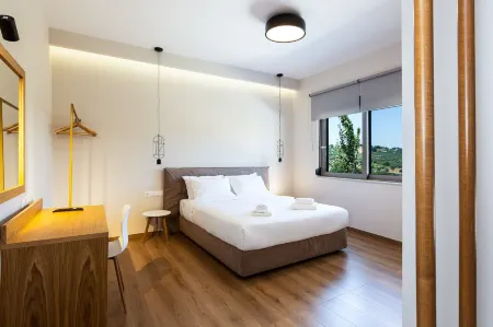 Panorama Luxury Rooms Отели в г. Agios Vasileios