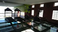 Hotel El Dorado Hermosillo - gimnasio