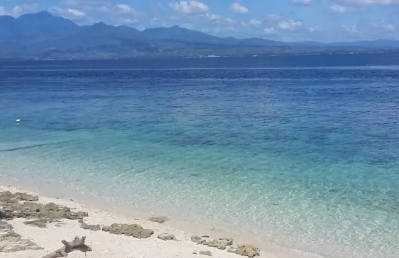 卡羅來納德爾瑪酒店