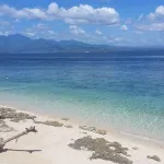 Carolina del Mar - Wifi
