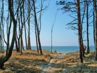 Ferienwohnung Mit Balkon am Bodstedter Bodden Hotels in Wieck