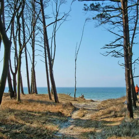 Ferienwohnung Mit Balkon am Bodstedter Bodden