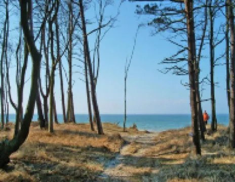 Ferienwohnung am Bodstedter Bodden