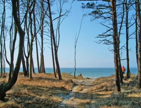 Ferienwohnung am Bodstedter Bodden