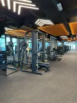 The OQ - Gym