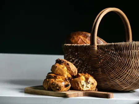 The Forest at Mount Congreve Gardens