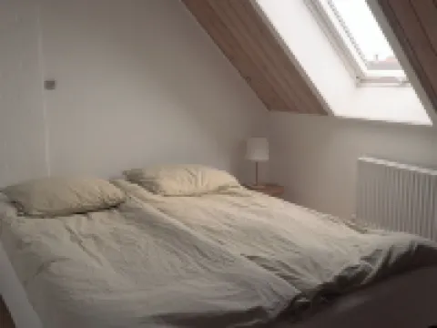 Noah's Ark Hotels in Thisted Municipality