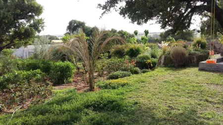 Hotel Riad Tigmin Eden Отели в г. Бузама