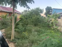 Scarlett Resorts at Laganas Hotels in Pangasinan