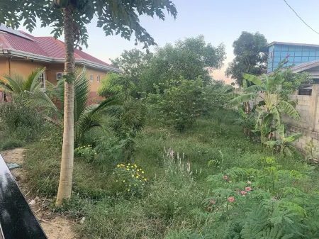 Scarlett Resorts at Laganas