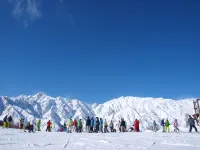 阿爾卑斯旅館 - 小屋