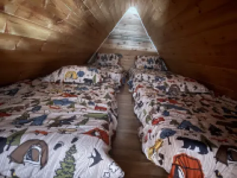 Charming 2-bedroom cabin with bonus loft, pet-friendly in Seeley Lake