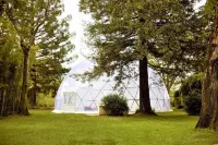 마스 두 베르사두