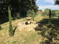 The Little House in the Olive Trees