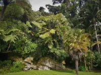 Huāki Punakaiki Bach Hotels in Punakaiki