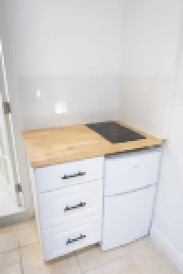 Cozy apartment next to Busch Gardens / USF