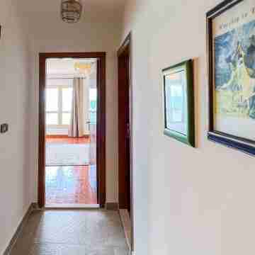 Prime Select Gleem Others