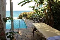 Birdie's Nest condo #2 with ocean view