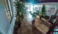 Hostal Natìvo