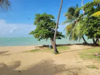 Palmarena Penthouse and Aquatika Beach Resort