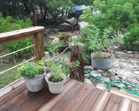 Historic Island Retreat on Little Exuma Hotels in Hartswell