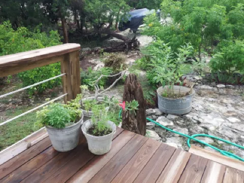 Historic Island Retreat on Little Exuma  호텔