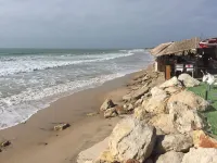 Comfortable apartment and swimming pool in the shade of the pine forest of Chipiona