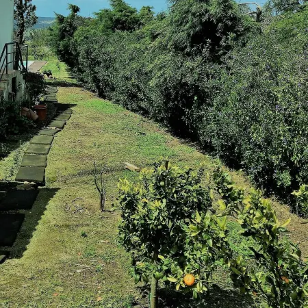 T2 4 km from the beach, with pool and garden