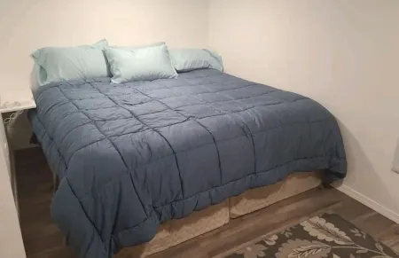 Private basement studio apt.