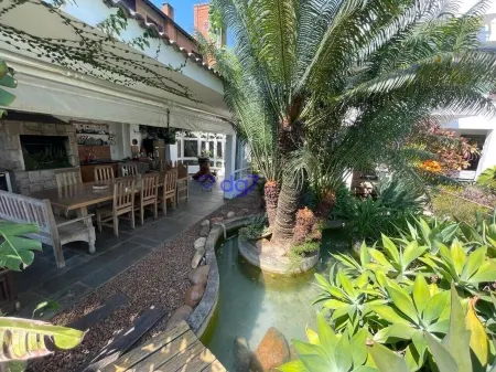 Wake up to the birdsong! Отели в г. Карапикуиба