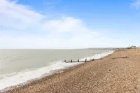 Seashells-Stylish Coastal Living