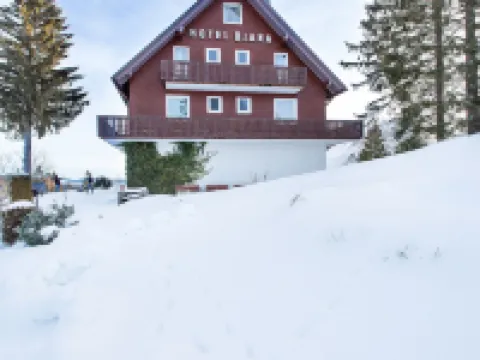 Hotel Diana Hotels in Feldberg