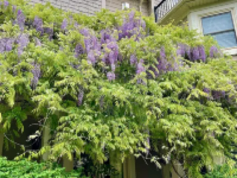 Norfolk Guest House Inn Hoteles en Guelph