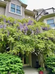 Norfolk Guest House Inn Hotels in der Nähe von University of Guelph