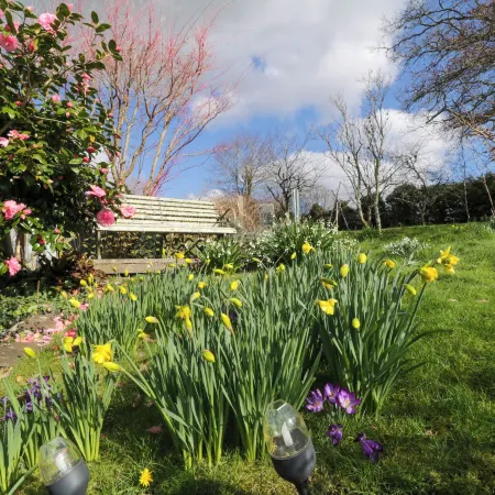 Clamoak Cottage