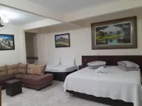 HOTEL CICONHA Hotels in Caxambu