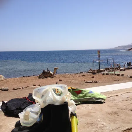 Inmo Divers Home