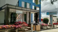 Excellence Plaza Hotel Hotels in Botucatu