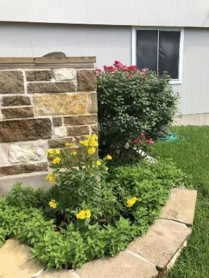 Las saetas Round Rock Extended Stay entire house 3bd 2.5 bath