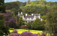 The Falcondale at Lampeter Hotel di 