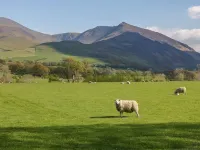 Scale Force Hotels in Borrowdale