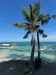 CASA KM Beach & Pool Access - Homestays