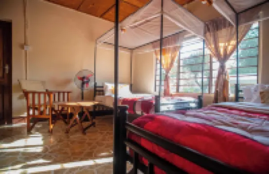 坦幹伊加海岸營地