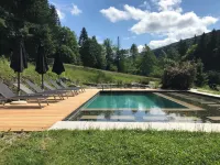 Hotel & Garden U Holubů - Pools